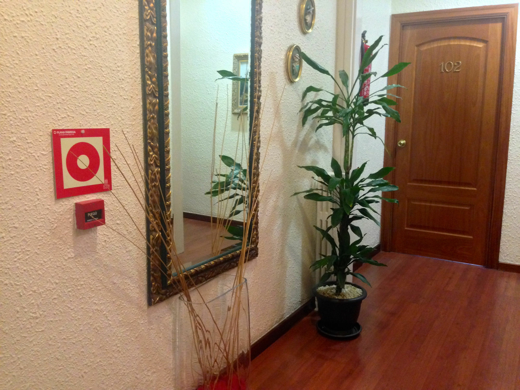 Hotel Pelayo Barcelona Ngoại thất bức ảnh